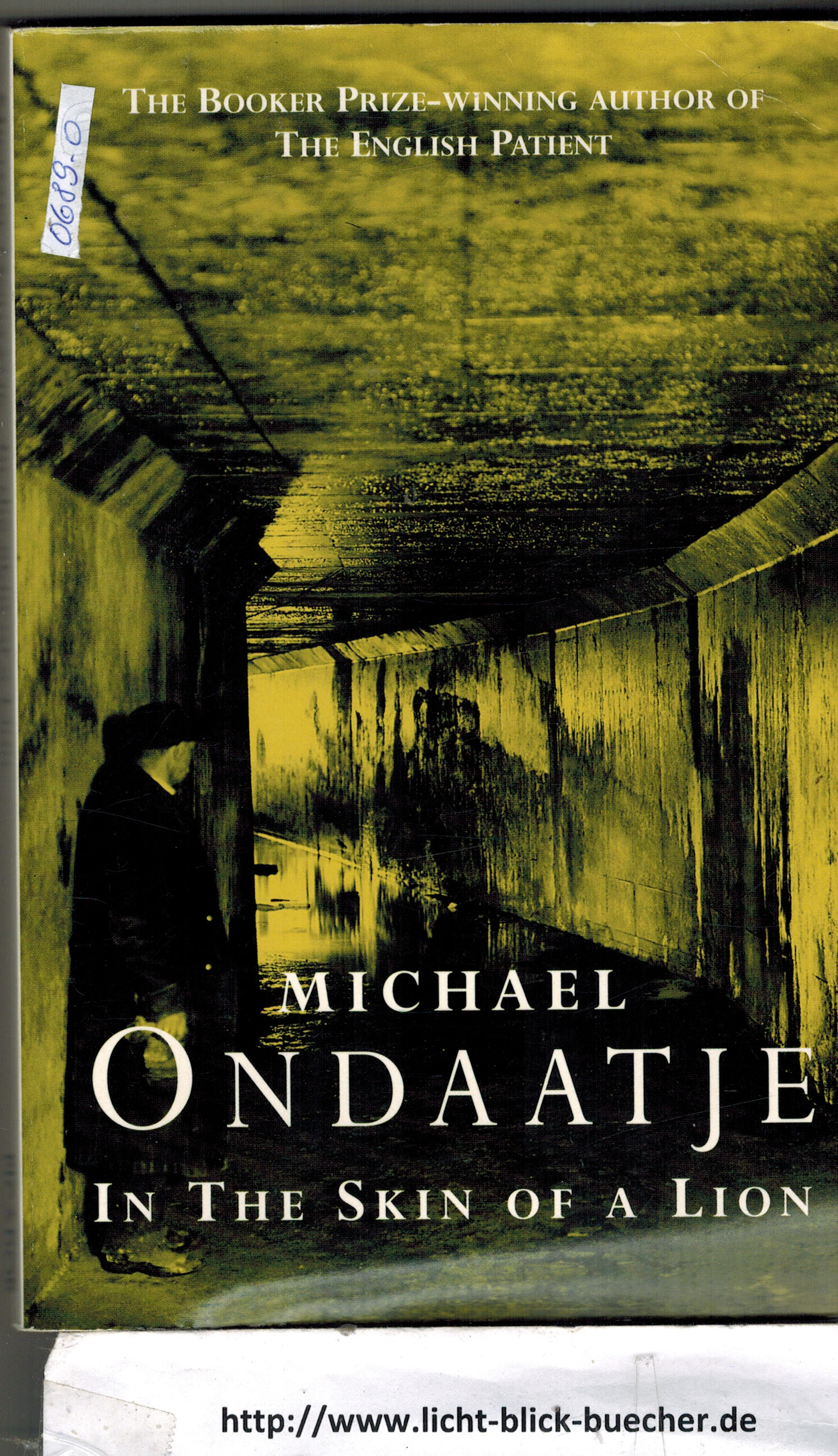 In a Skin of a Lion  Michael Ondaatje