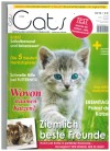 our Cats  Deutschland modernes Katzenmagazin Ausgabe 10 /16