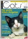 our Cats  Deutschland modernes Katzenmagazin Ausgabe 3 /17