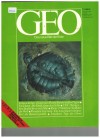 GeoDas neue Bild der Erde Nr 6 /1981