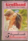5 bezaubernde Liebesromane Grossband 17