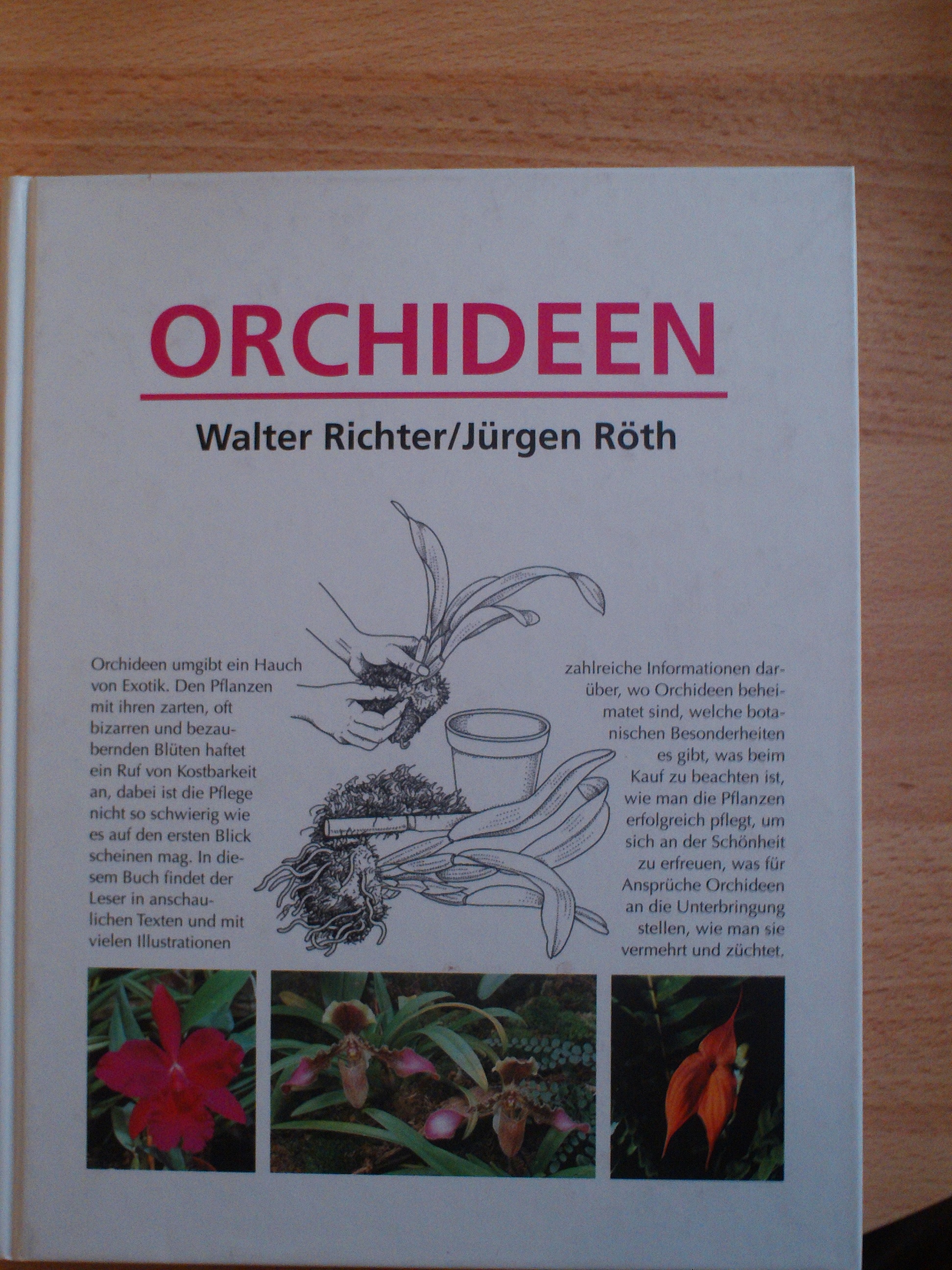 OrchideenWalter Richter / Juergen Roeth