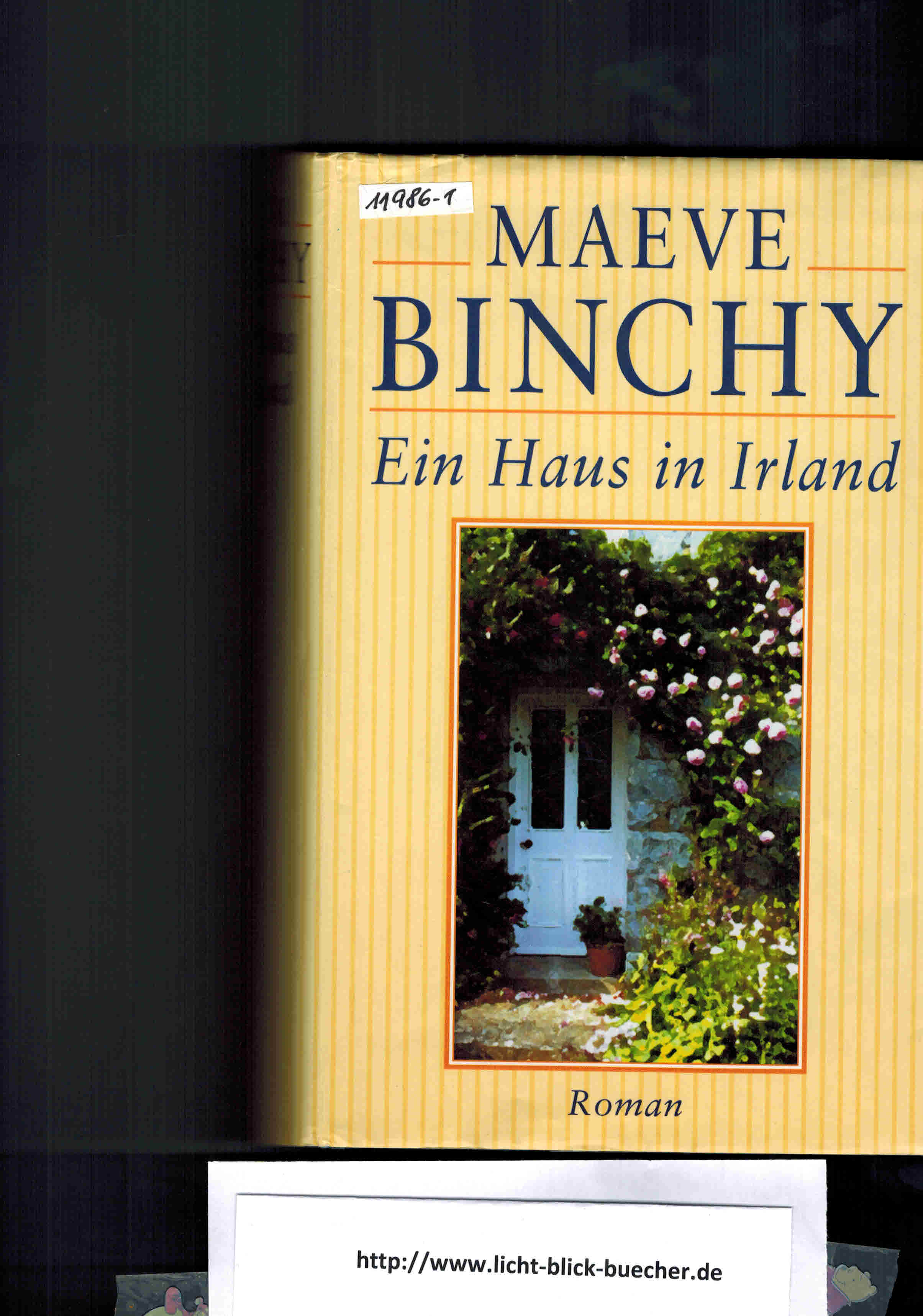 Ein Haus in Irland Maeve Binchy