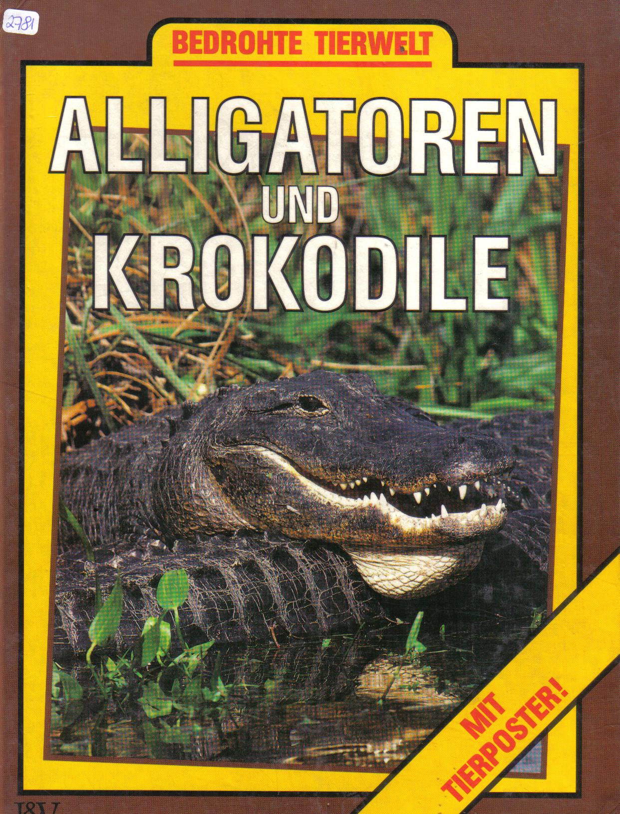 Alligatoren und Krokodile