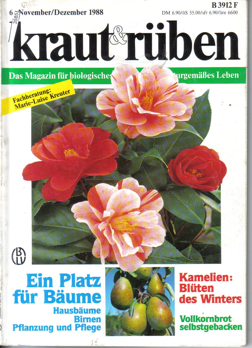 kraut & rueben   6. November / Dezember 1988